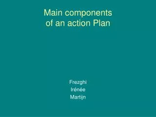 Main components of an action Plan
