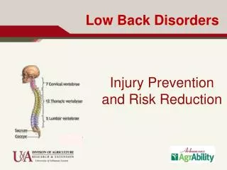 Low Back Disorders