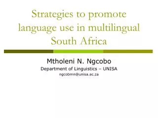 Strategies to promote language use in multilingual South Africa