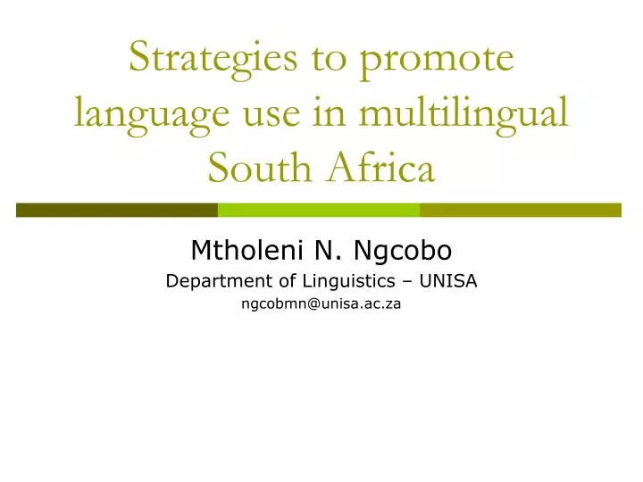 strategies to promote language use in multilingual south africa