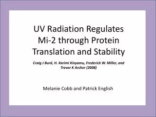 UV Radiation Regulates Mi-2 through Protein Translation and Stability