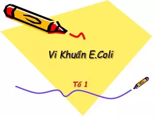 vi khu n e coli