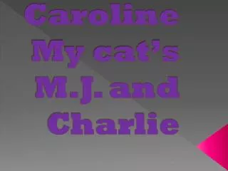 Caroline My cat’s M.J. and Charlie