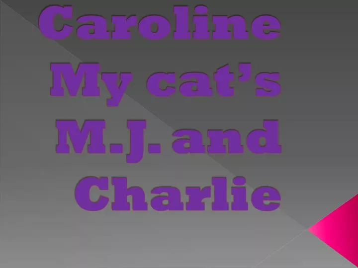 caroline my cat s m j and charlie