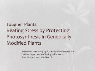 Tougher Plants: Beating Stress by Protecting Photosynthesis in Genetically Modified Plants