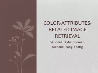 Color-Attributes-Related Image Retrieval