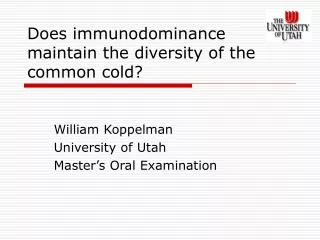 Does immunodominance maintain the diversity of the common cold?