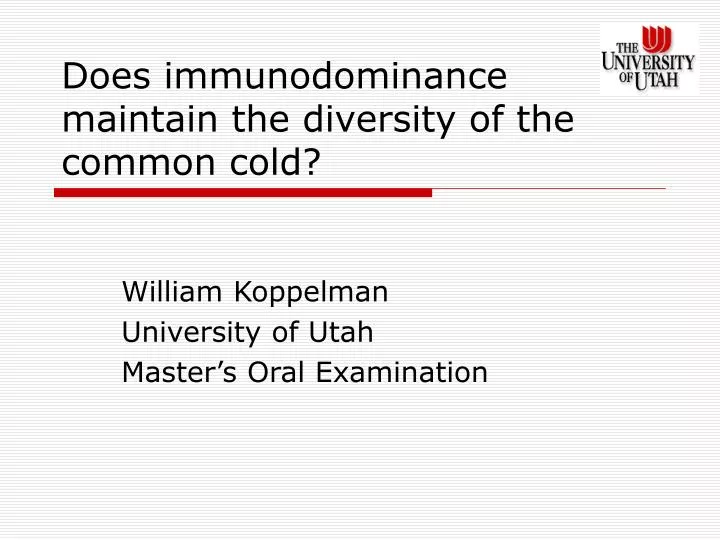 does immunodominance maintain the diversity of the common cold
