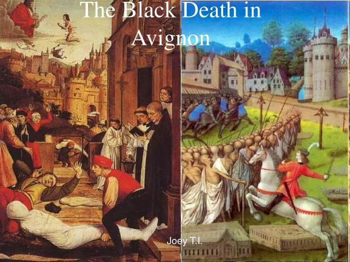 the black death in avignon
