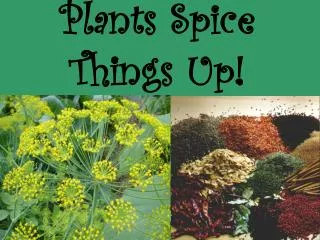 Plants Spice Things Up!