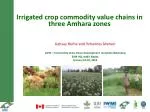 Enhancing Irrigated Crop Commodity Value Chains in Amhara Zones - slide 1