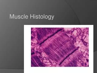 Muscle Histology