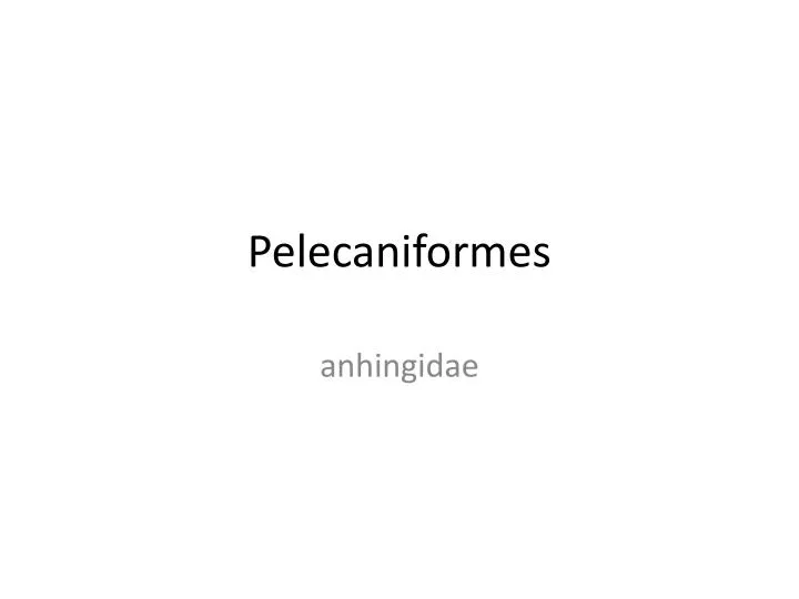 pelecaniformes