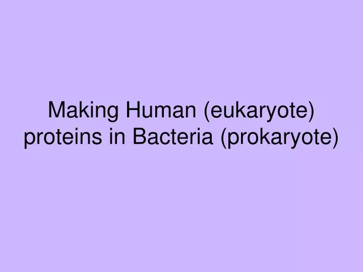 making human eukaryote proteins in bacteria prokaryote