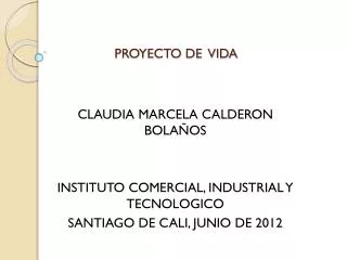 proyecto de vida
