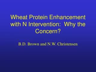 Wheat Protein Enhancement with N Intervention: Why the Concern?
