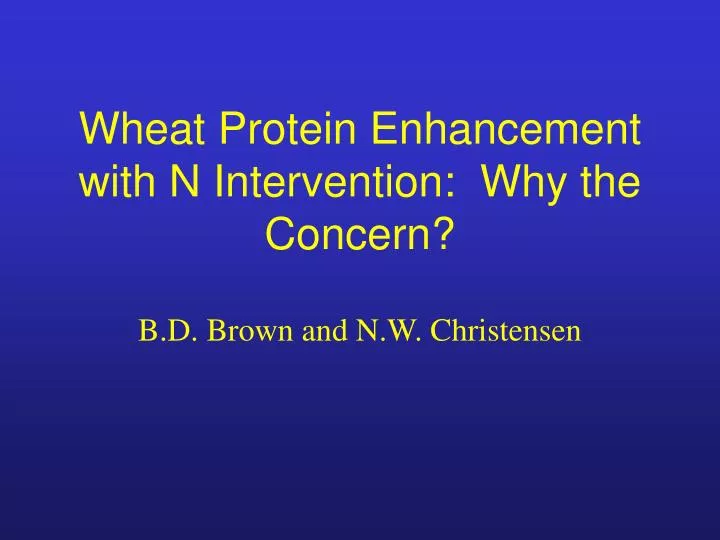 wheat protein enhancement with n intervention why the concern