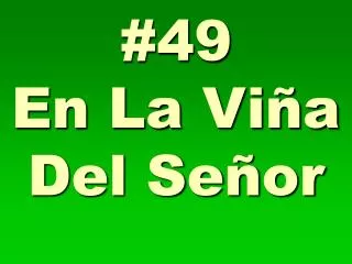 49 en la vi a del se or