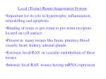 Local (Tissue) Renin-Angiotensin System - slide 1