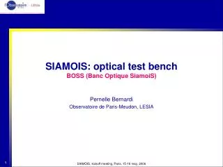 SIAMOIS: optical test bench BOSS (Banc Optique SiamoiS)