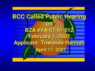 BCC Called Public Hearing on BZA #VA-07-01-012 February 1, 2007 Applicant: Towanda Hannah
