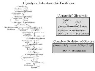 glucose