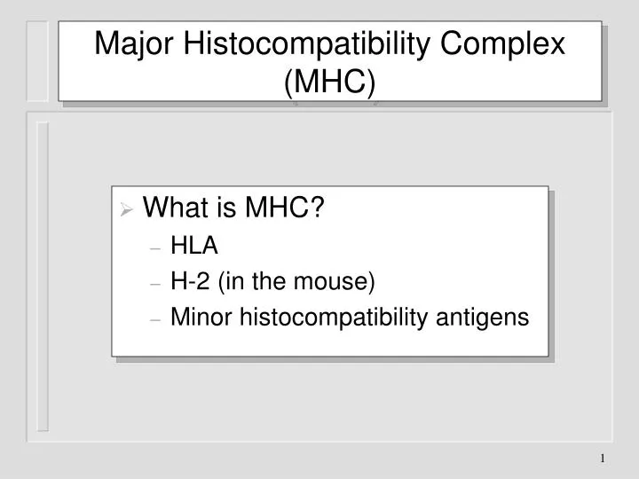 major histocompatibility complex mhc