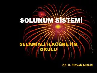 solunum s stem