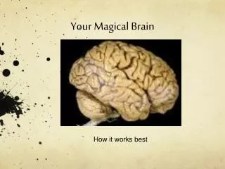 Your Magical Brain