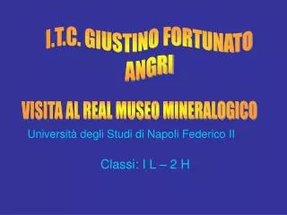 universit degli studi di napoli federico ii