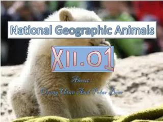 About : OrangUtan And Polar Bear
