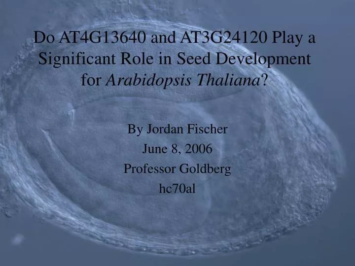 do at4g13640 and at3g24120 play a significant role in seed development for arabidopsis thaliana