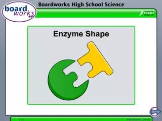 What are enzymes made of?