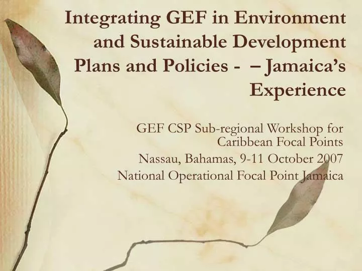 integrating gef in environment and sustainable development plans and policies jamaica s experience
