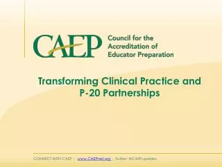 Transforming Clinical Practice and P-20 Partnerships