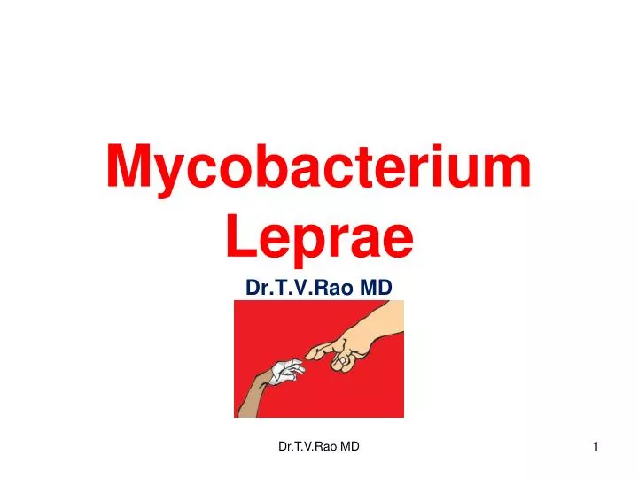 mycobacterium leprae