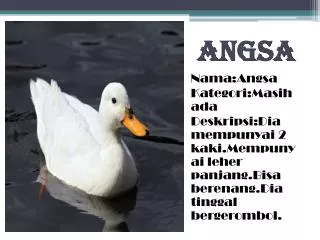 angsa