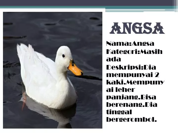 angsa