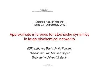 Approximate inference for stochastic dynamics in large biochemical networks