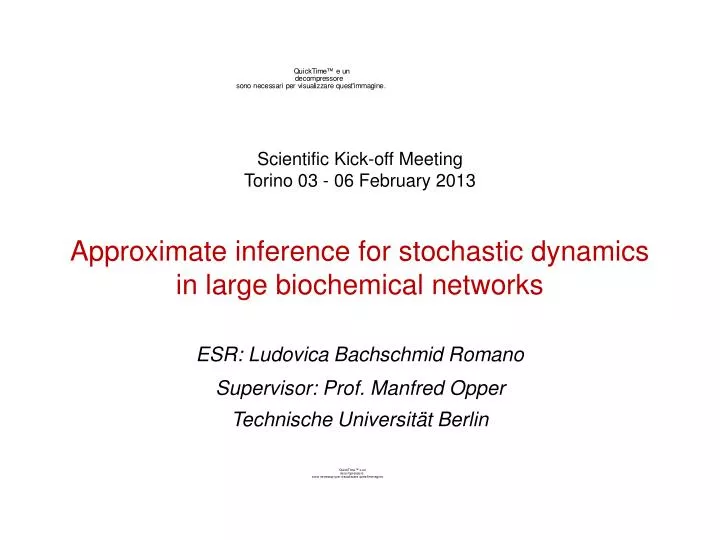 approximate inference for stochastic dynamics in large biochemical networks