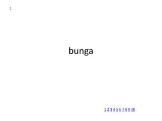 bunga