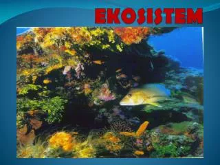 ekosistem