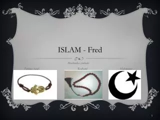 islam fred