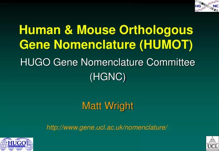 human mouse orthologous gene nomenclature humot