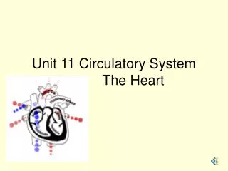 Unit 11 Circulatory System The Heart