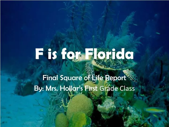 f is for florida