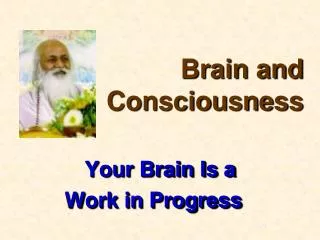 Your Brain Is a Work in Progress