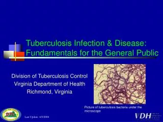 Tuberculosis Infection &amp; Disease: Fundamentals for the General Public