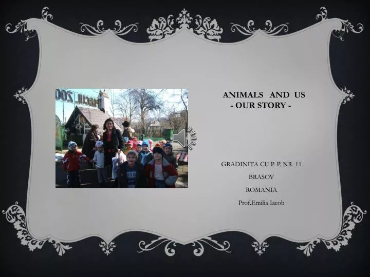 animals and us our story