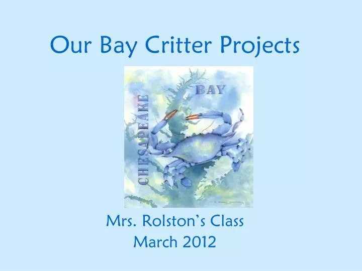 our bay critter projects